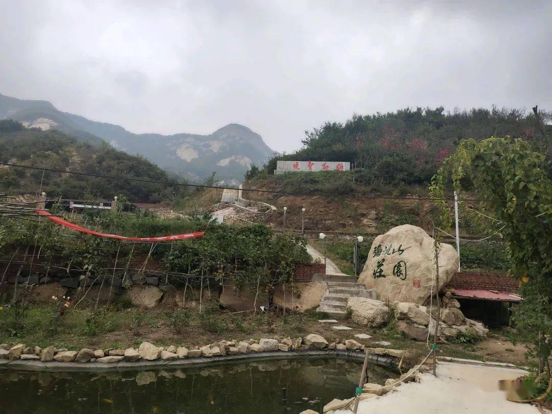 沪指翻红，央企再成市场主驱动力，央企回报ETF（561960）半日大涨2.37%！中国交建强势涨停