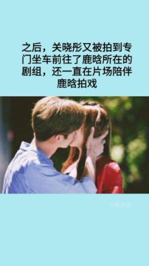 《动物园》亏了7000万，包贝尔不甘心又带来一部新片